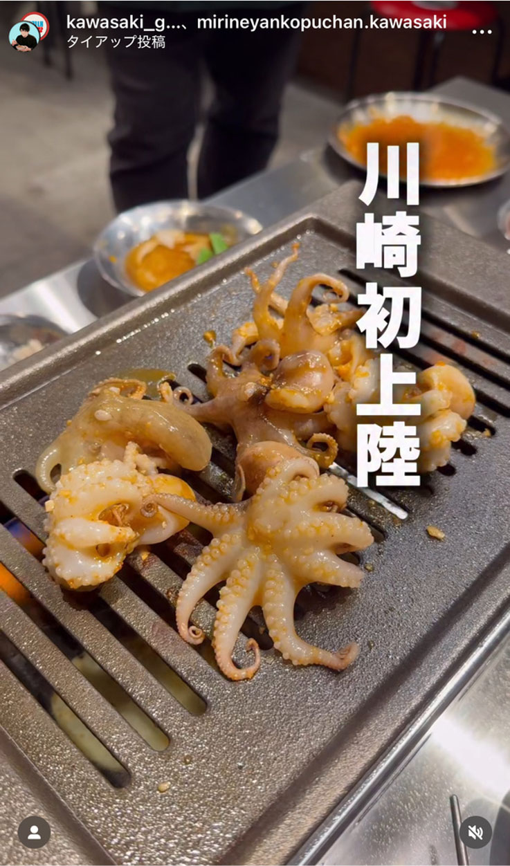 ミリネヤンコプチャン様